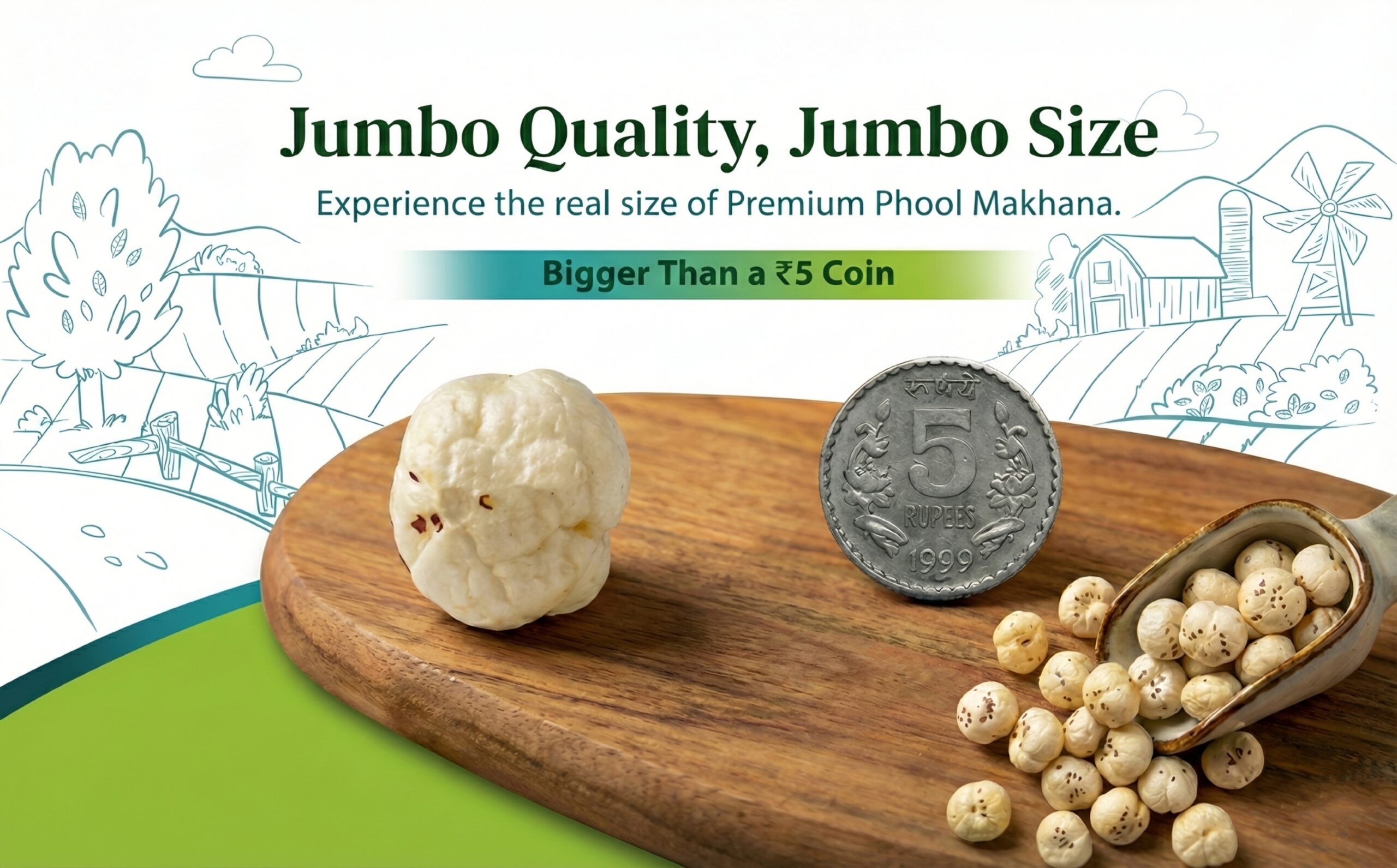 Combo Set Makhana 500gm - Image 5